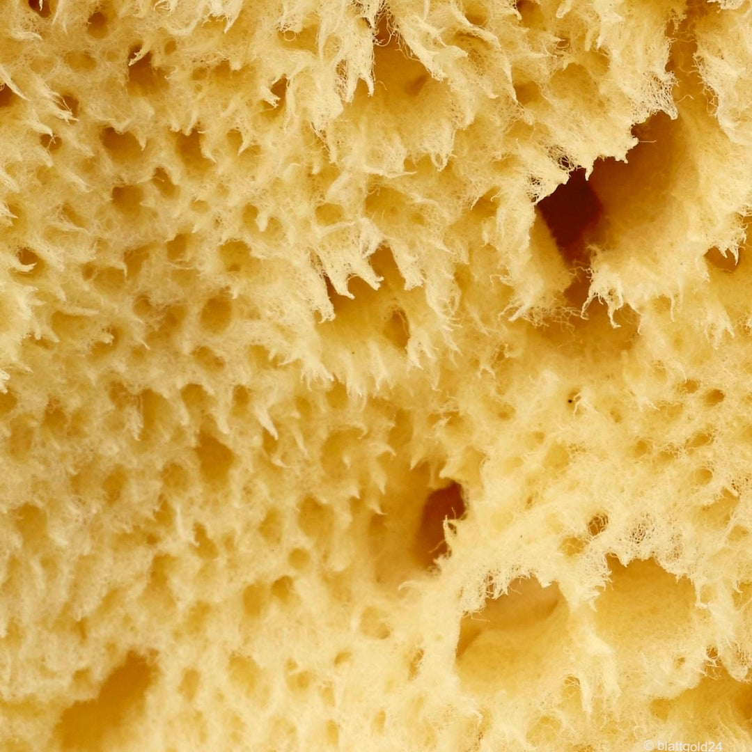 Levantinerschwamm feinporig