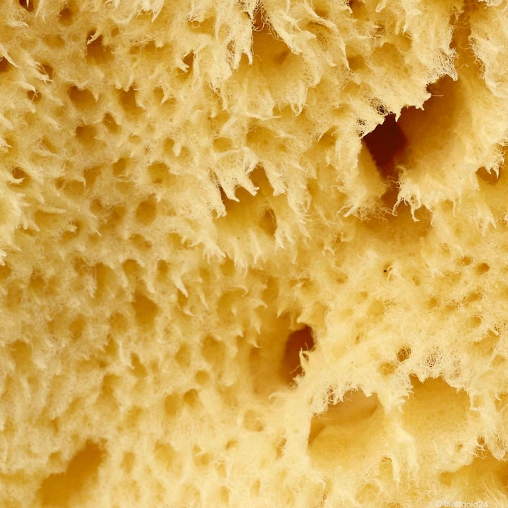 Levantinerschwamm feinporig