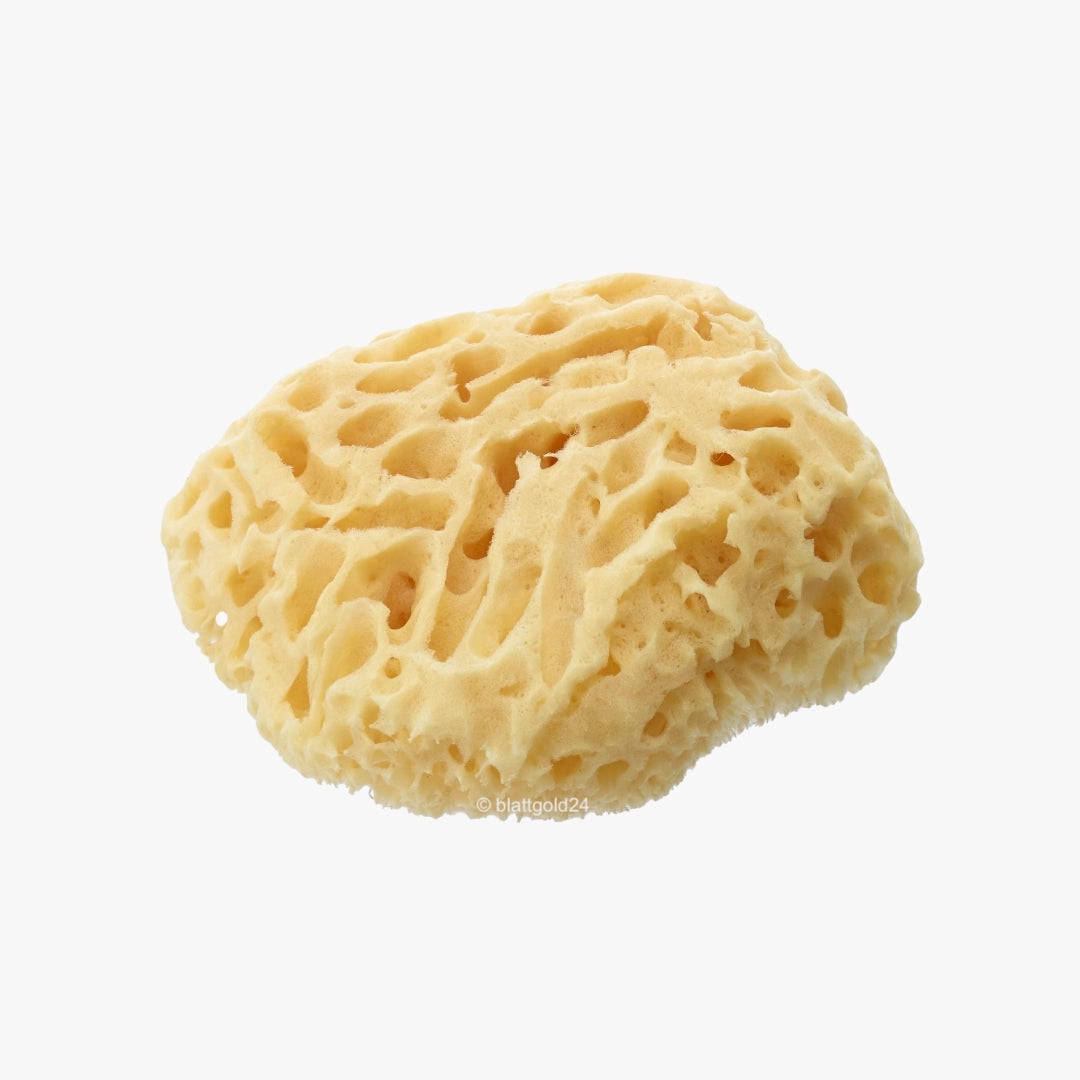 Naturschwamm grobporig
