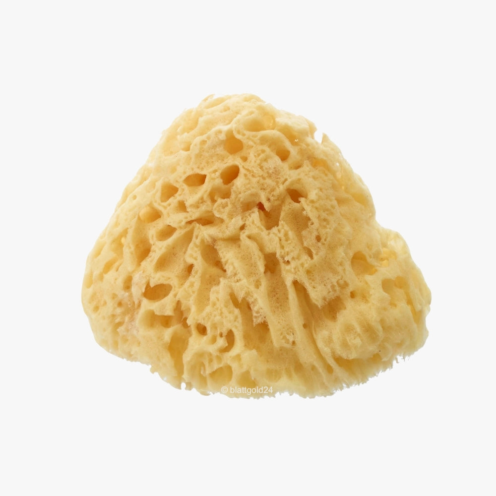 Naturschwamm grobporig